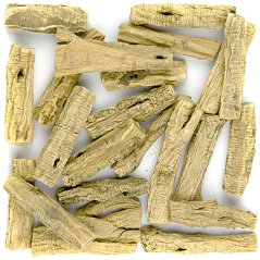 Dangshen (Codonopsis pilosula)