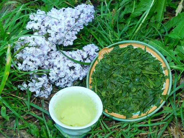 Shizuoka Sencha Fuji