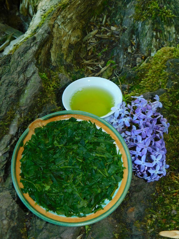 Shizuoka Sencha Fuji