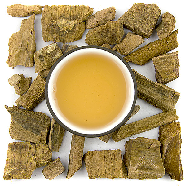 Chuchuhuasa (Maytenus macrocarpa)