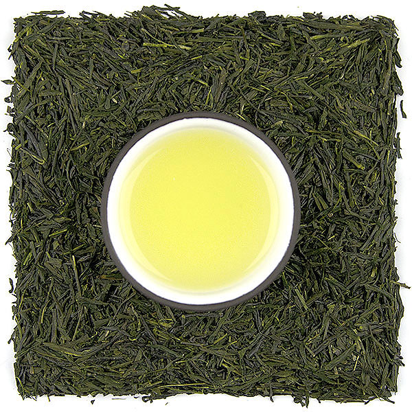 Sencha HCO (Kanayamidori)
