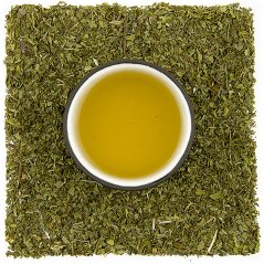 Nana - marocká mäta