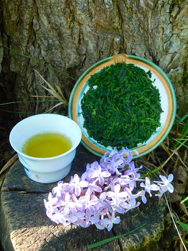 Shizuoka Sencha Fuji