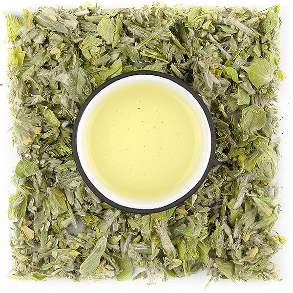 Grécky horský čaj - Hojník sýrsky