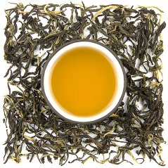 Žltý drak z Yunnanu