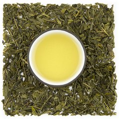 Sencha Vanilla