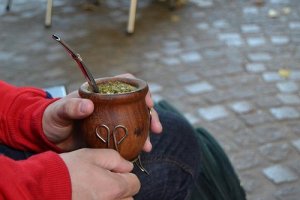 Yerba mate - všetko, čo potrebujete vedieť