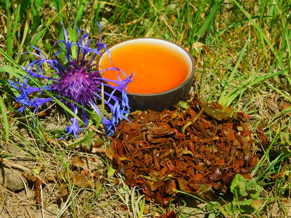 Darjeeling TGFOP1 Margaret Hope SF