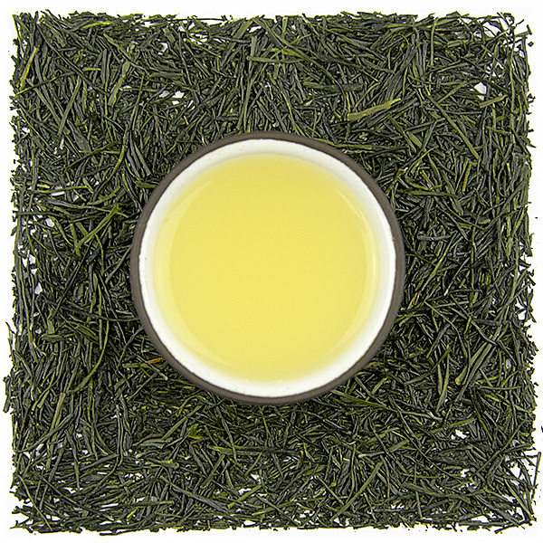 Miyazaki Kabusecha Okumidori