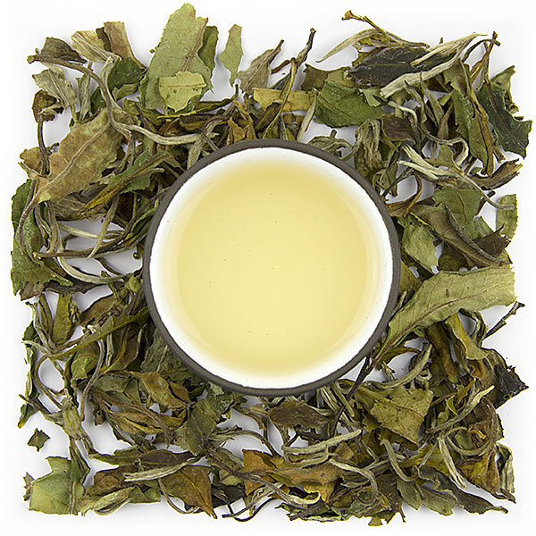 Pai Mu Tan Std. 6902