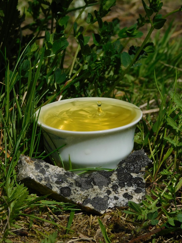 Korea Seogwang Sencha