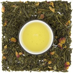Sencha Sakura