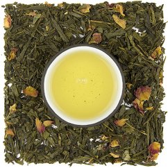 Sencha Sakura