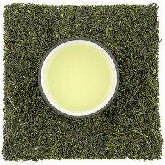 Miyazaki Sugiyama Sencha
