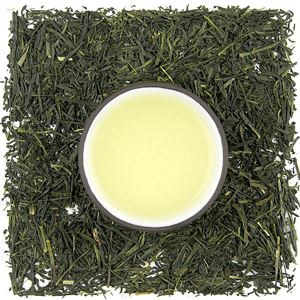 Shizuoka Sencha Fuji